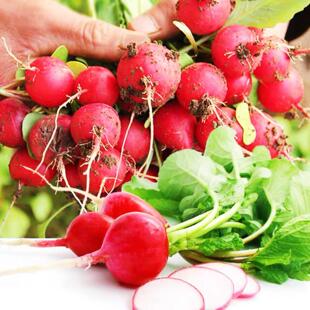 ���l�߲�N�ӳ��Sˮ���t�����}���N���̨�ˈ@���}���ļ��t�}��