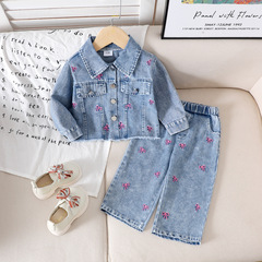 子供服クロスボーダーヨーロッパとアメリカの女の子のブルー長袖トップス+パンツスーツAmazon
