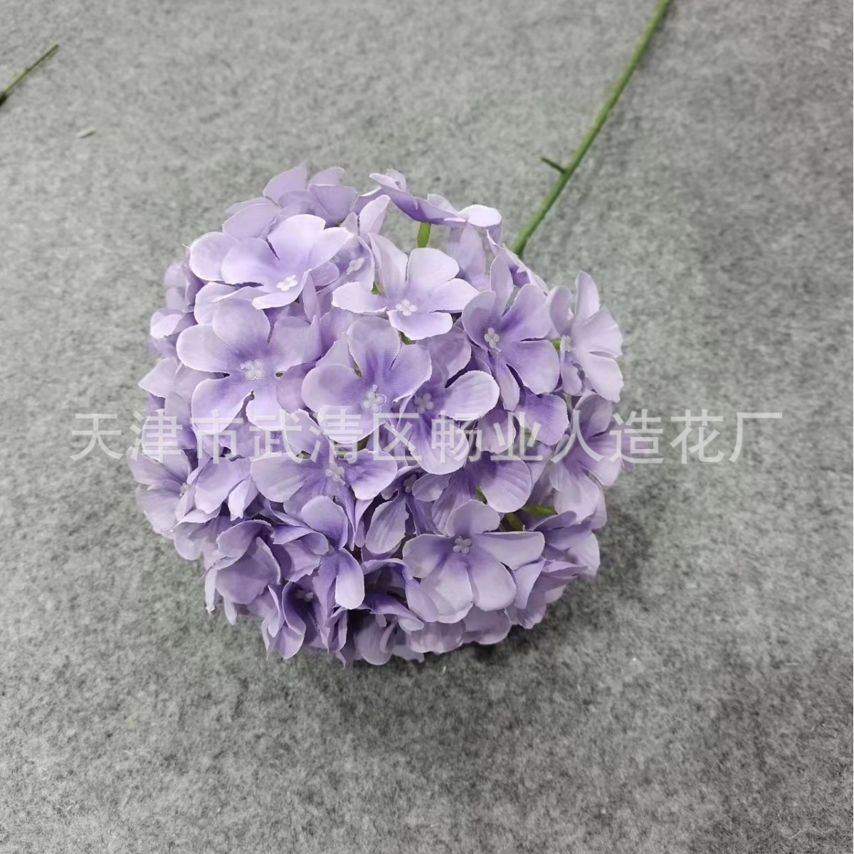 단일 수국 파란색과 보라색