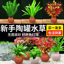 ˮ���~���쾰�[���������ˮ���žG�����݃�ˮ��ֲ�չ�ˮ���ײ�