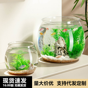 Round Plastic Small Fish Tank Small Living Room 2025 New Imitation Glass One-Piece Turtle Tank Desktop Goldfish Tank