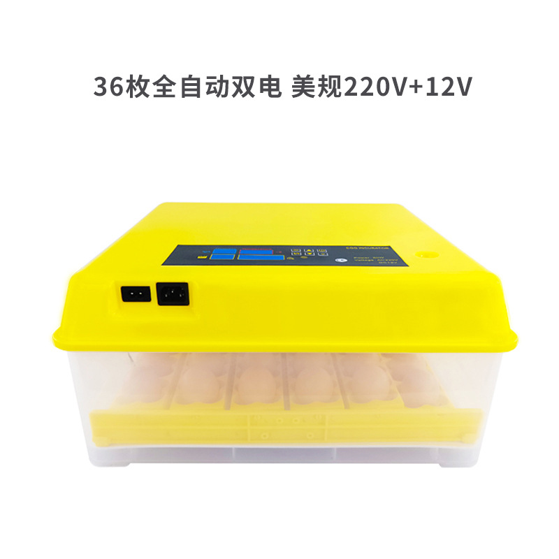 36 unidades inteligente incubadora de temperatura constante pollo pato codorniz pájaro huevo pequeño hogar incubadora mini incubadora automática
