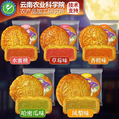 Nongyuan Fruit Mooncakes 100g Multi-Fruit Flavor Fill Large Mooncake Mid-Autumn Gift Box for Group Purchase and Wholesale