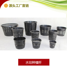 ˮ�ඨֲ�@�o�������O���ʽ�߲�ֲ����Nֲ�ظ��@����͸��W��