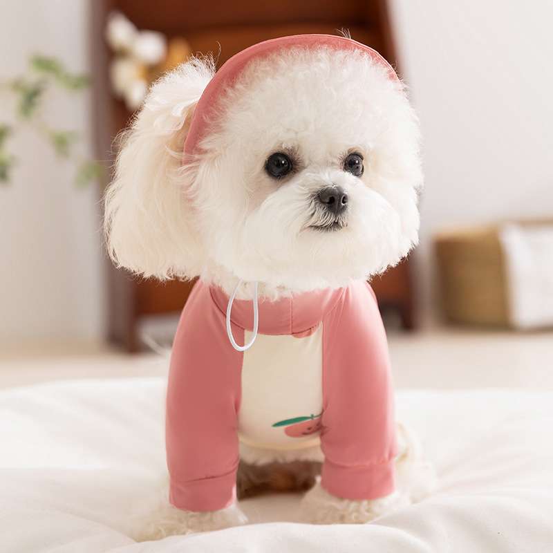 Ropa de protección solar al aire libre de primavera y verano para perros, ropa fresca de cuatro pies con impresión completa de frutas, ropa de peluche para mascotas para perros pequeños