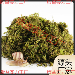 �I�B��������Ҭ������΁ţ�|���}�����x̦�\���������΁ţ��B