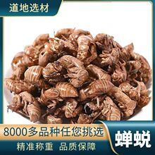 中药材批发蝉蜕不熏硫蝉壳知了皮蝉退壳蝉衣枯蝉现货量大从优