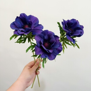 ���滨 �yɏ�� ���^�̬F�� �Ӱ��g�Ҿ� �ۘǲ��廨�仨�b�