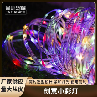 Cross-Border Led Copper Wire Leather Wire Bare Lamp Creative Small Lantern Wall Luminous Waterproof Tree Light String Factory Direct Sale