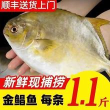 ���K�~��S���]�����ش����~ƽ�~�������K�~���rˮ�a�r�����l