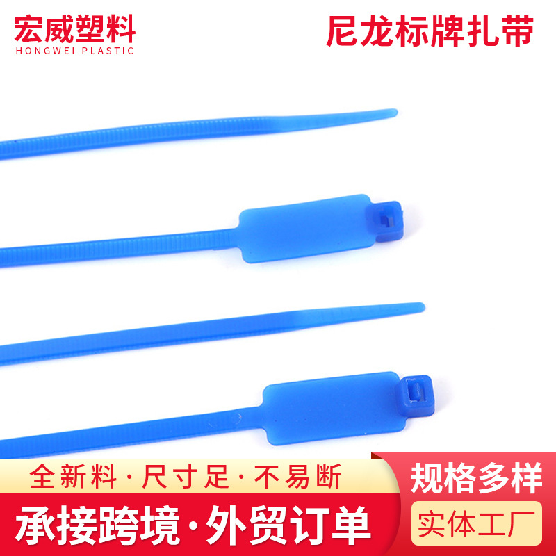 一次性尼龙标牌扎带 封签物流快递封条防调包标牌自锁式带扣扎带