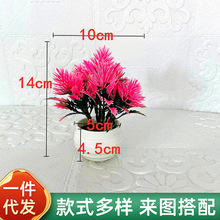 ���l����ֲ�����ԼҾ��bٻ��GֲС�[��7����ɹ��l�y��С�辰