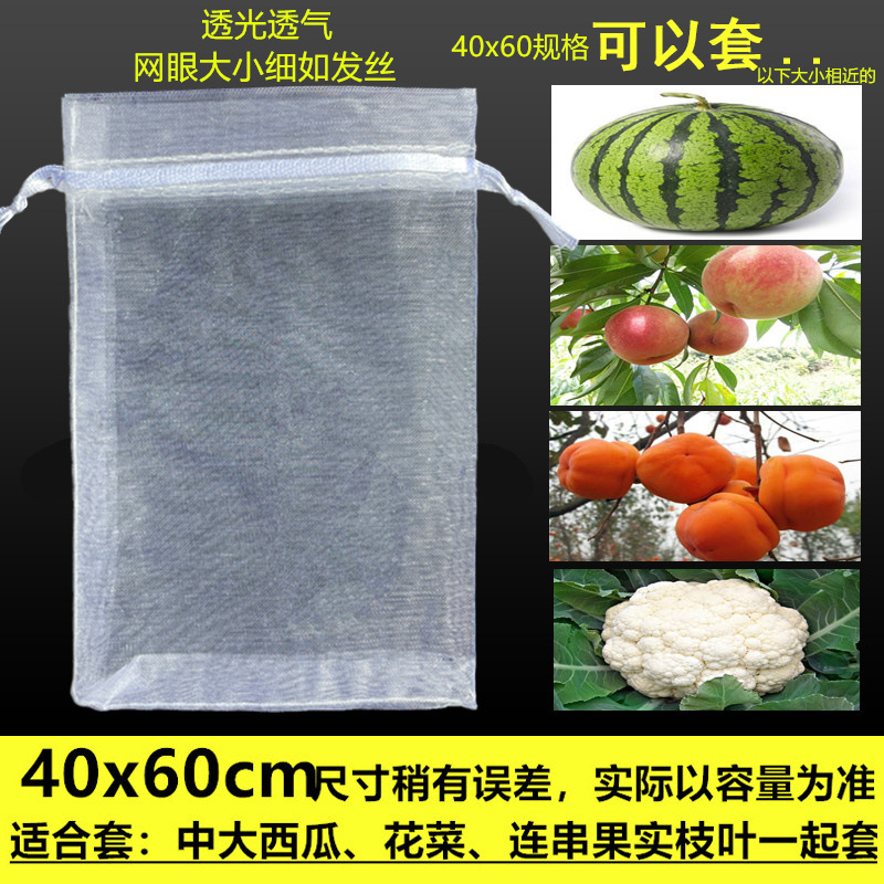 果樹袋防虫防鳥袋いちごいちじくザクロブドウトマト保護果実専用糸ネットカバー|undefined