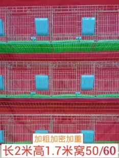 �Bֳ�\��̖�û\����9λ12λ24����S��ĸ�û\�����Bֳ�����ӻ\��