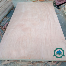 FSCJCzϰ 18mmWzϰ ľо sľ Sֱ