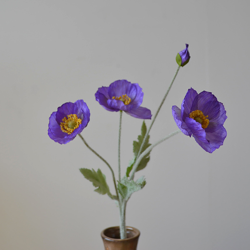 1957 라벤더 퍼플