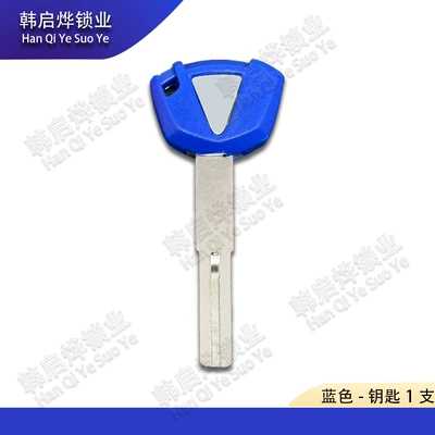Z800 23 Model Key – Motorcycle Key