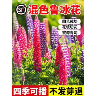 �������N���ļ��׷NͥԺ�@�־��^�����Nֲ�������ԷN�����ȶ����N