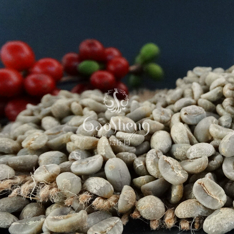 高晟庄园 A coffee beans source factory washing Arabica Yunnan coffee beans wholesale Italian style