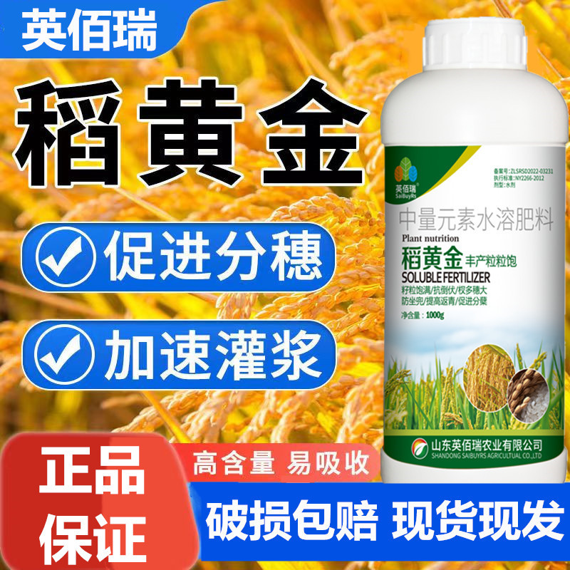 Phân bón hòa tan trong nước gạo vàng, phân bón lá, phòng bệnh, chống rụng lá và xanh lá, tăng năng suất, thúc đẩy phân chia lá, phân bón gốc dinh dưỡng cho lúa