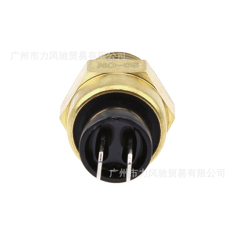 Sensor de Temperatura del Agua para Benelli Lanbaolong BJ300GS Little Yellow Dragon BJ250
