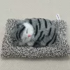 Blue pear sleeping pad cat (can bark + plush pad)~Limited time special offer, grab it now