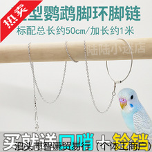 昭杭鹦鹉脚环脚链不锈钢鸟链子虎皮八哥牡丹玄凤鸟放飞绳站架鸟链