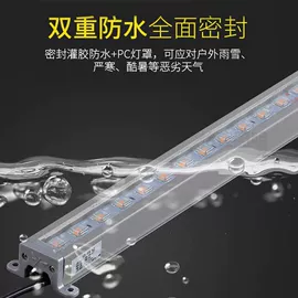 线条灯/灯条;LED装饰灯;LED球泡灯