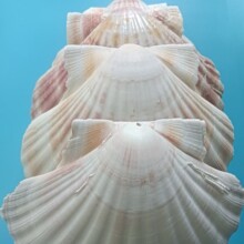 ��Ȼ��ؐ������ؐ��diy�僽�ɫ�Ʒ�[������������ؐ�[����ˇƷ