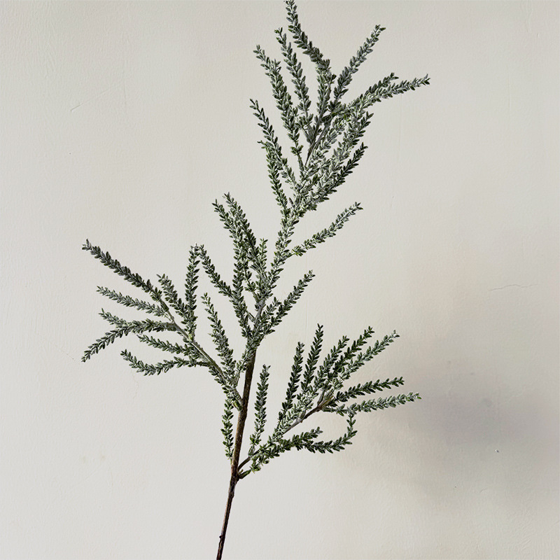 알파인 염소 이빨 - 흰색과 녹색