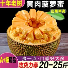 海南菠萝蜜新鲜水果包邮黄肉波罗菠萝蜜一整个水果新鲜整箱当季红