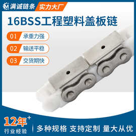 定制16BSS工程塑料盖板链 不锈钢盖板链条输送链双排单排工业链条