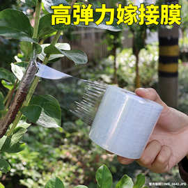 小卷PE缠绕膜5cm工业包装膜6cm外卖保鲜膜打包盒封口嫁接膜打包膜