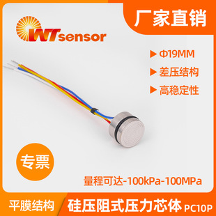 Nanjing Wotian Diffused Silicon Piezoresistive Pressure Oil-Filled Pressure Sensor Core Body Measurement Special Pc10P