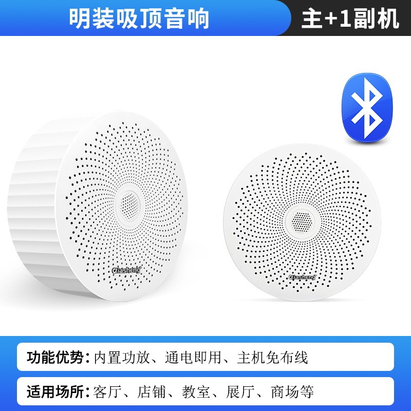 QIASHENGコードレスブルートゥース吸頂オーディオショップ専用天井ラッパ吊り天井埋め込み式重低音スピーカー|undefined