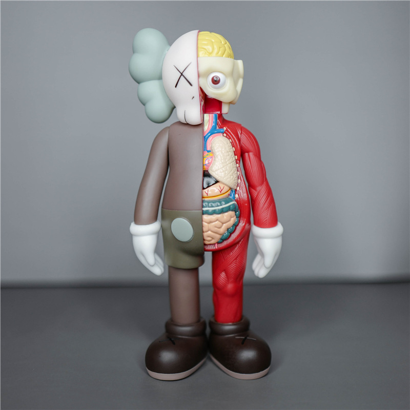 半解剖咖-20cm