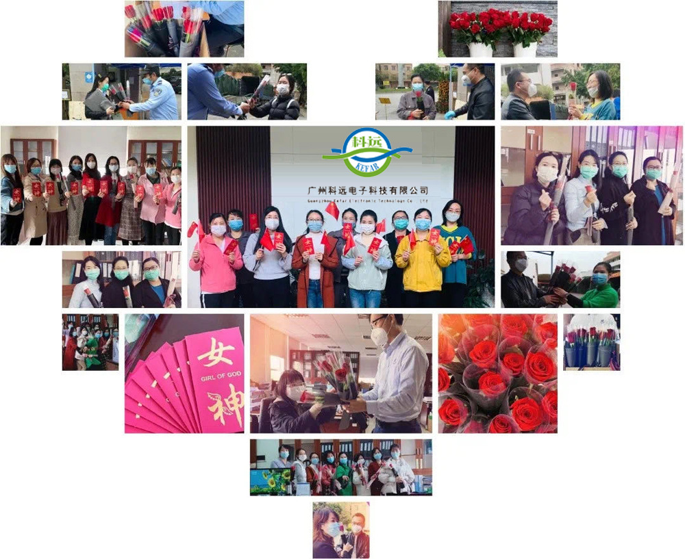 factory introduction1