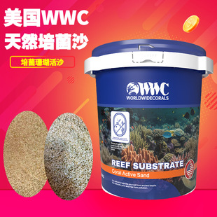 ����WWC ��Ȼ��ɳ ��ˮ�~�����ɳ2025����Ʒ 6.5KGһͰ