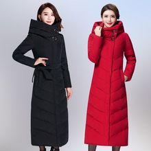 2025���b�¿��n���L����q��Ů�^ϥ������ůȹ�[�����q���L������