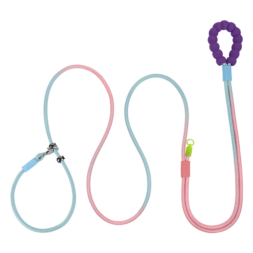 화려한 블루와 핑크