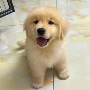 ���N��ë��Ȯ�pѪ�y��ëȮ��Ǽ�����������Ȯ��äȮ���ﹷ�����w