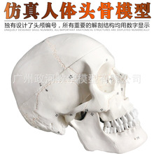 �^��ģ�� �ǿp����Ȼ���^�B �����Y����Ǽ� �̌W���t�^ �̌Wģ��