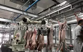 猪清真屠宰设备