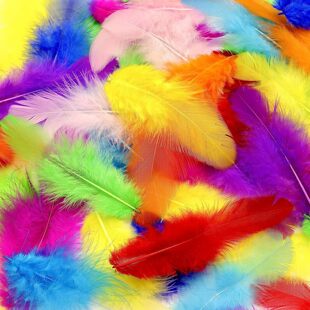 ���Sֱ�Ndiy��ɫ��ëĸ�uë5-10cm��ë��ɫ������Y��������