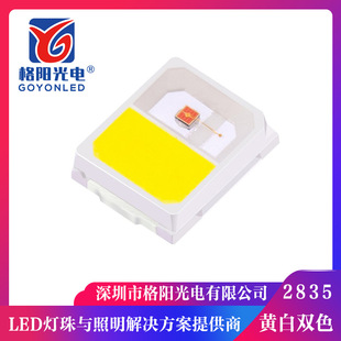 ����2835�S���pɫ���� 0.2W+0.2W�pɫ�ع�Դ ����оƬ Դ�^�S��