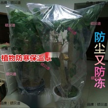 果树温室塑料套果苗保温植物防冻膜苗园冬季防尘罩养花户育苗室外