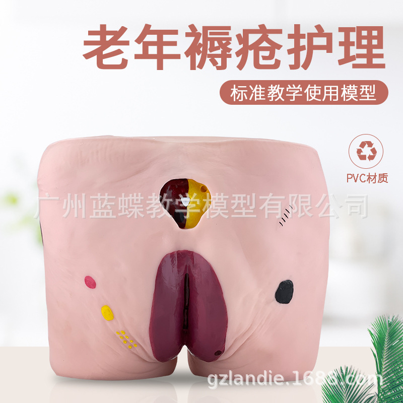 �촯ѹ������ģ�� �߼��������촯ѹ������ģ�� ҽѧ�ý�ѧģ��