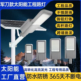 太阳能灯;庭院灯;路灯