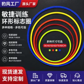 足球训练用具;足球门/网;匹克球拍