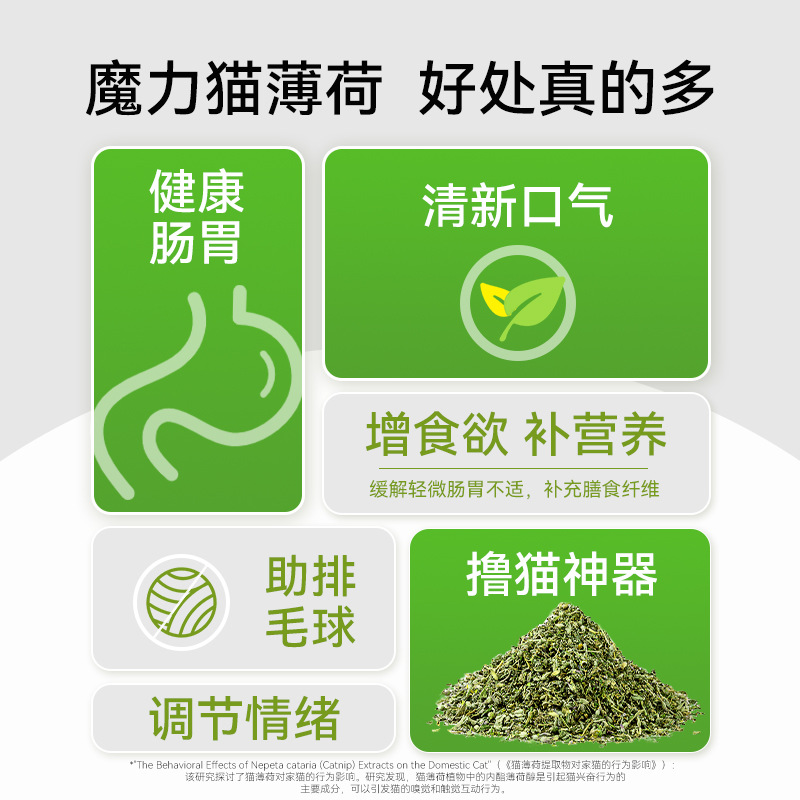 Menta para gatos bocadillos comestibles hojas secas de eliminación de pelo bolas de pelo para gatos Menta en polvo bolas de pelo limpiadoras de la cavidad oral productos estimulantes